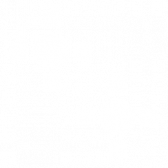 Ruokailu